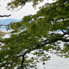 comment-small-img