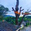 comment-small-img