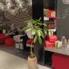 comment-small-img