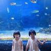 comment-small-img
