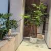 comment-small-img