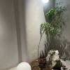 comment-small-img