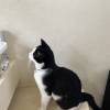 comment-small-img