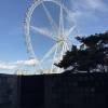 comment-small-img