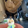 comment-small-img