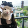 comment-small-img