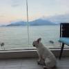 comment-small-img