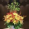 comment-small-img