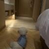comment-small-img