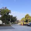 comment-small-img