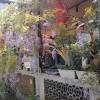comment-small-img