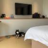 comment-small-img