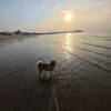 comment-small-img