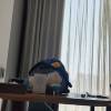 comment-small-img