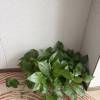 comment-small-img
