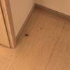 comment-small-img