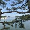 comment-small-img