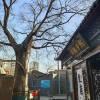 comment-small-img