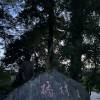 comment-small-img
