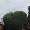 comment-small-img