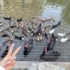 comment-small-img