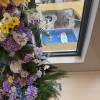 comment-small-img