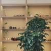 comment-small-img