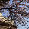 comment-small-img