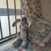 comment-small-img