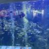 comment-small-img