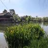 comment-small-img