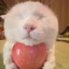 comment-small-img