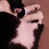 comment-small-img
