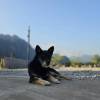 comment-small-img