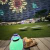 comment-small-img