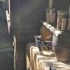 comment-small-img