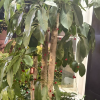 comment-small-img