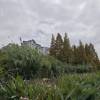 comment-small-img