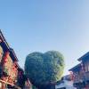 comment-small-img