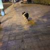 comment-small-img