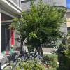 comment-small-img