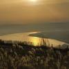 comment-small-img