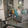 comment-small-img
