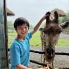 comment-small-img