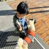 comment-small-img