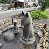 comment-small-img