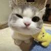 comment-small-img