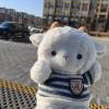 comment-small-img