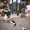 comment-small-img