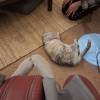 comment-small-img